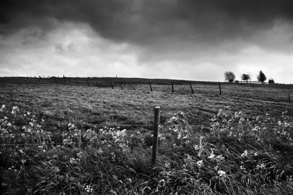 Flandre belge - photographie noir et blanc
