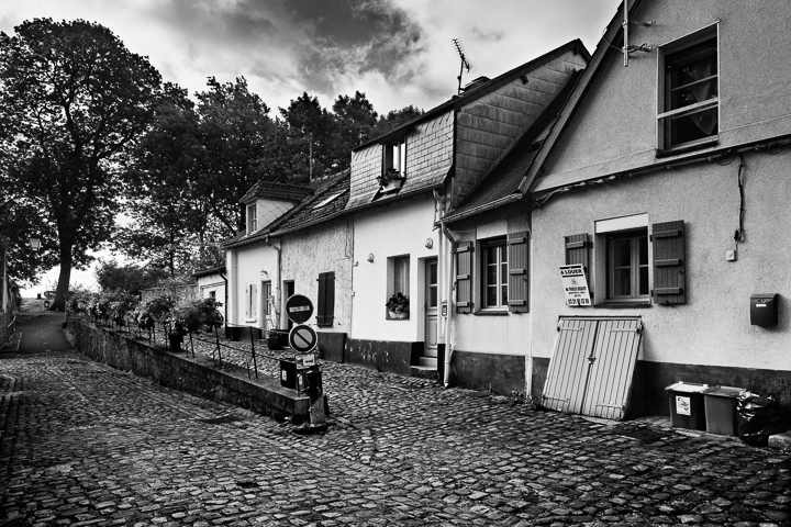 5D-IMG-1919-BW.jpg