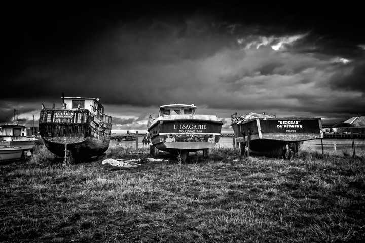5D-IMG-5266-BW.jpg