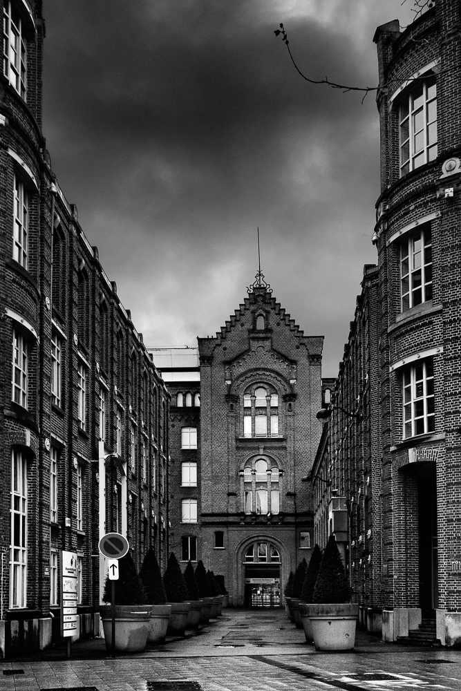 RBX-IMG-5194-BW.jpg